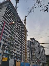 Grua torre Potain 428G